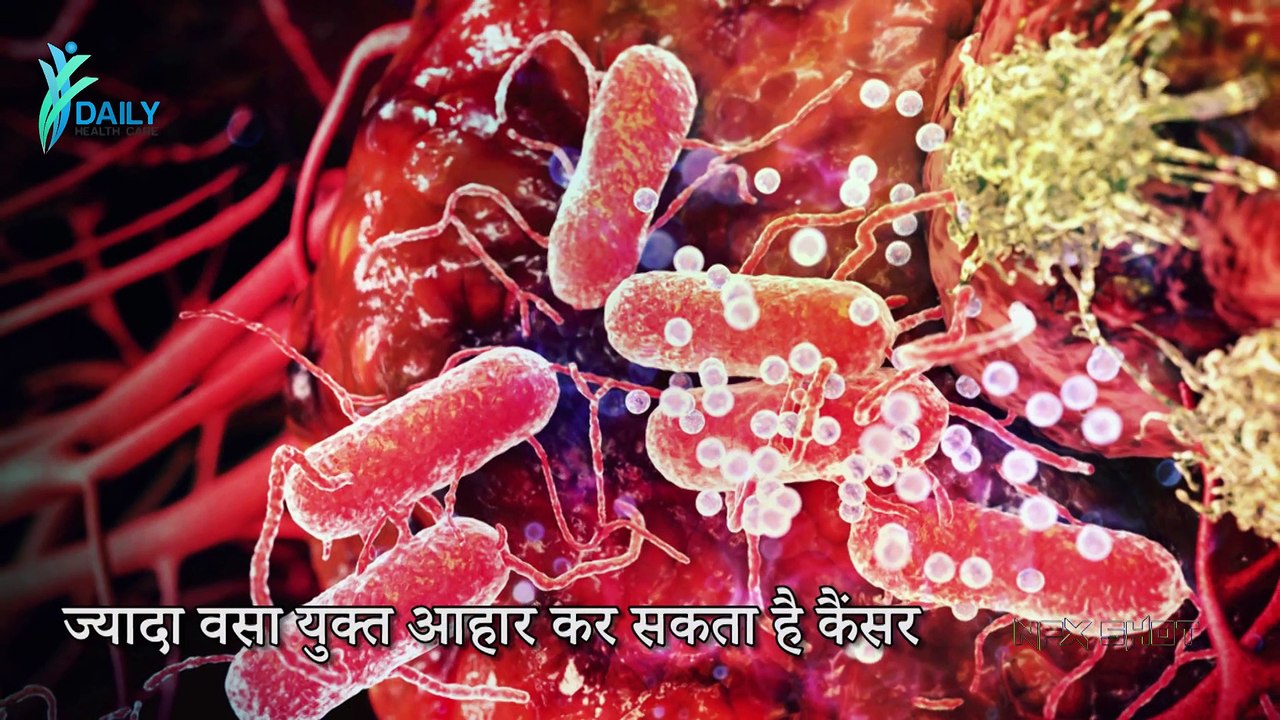 Pregnancy में अगर ज्यादा Fat लिया, तो हो सकता है लाइलाज बीमारी का खतरा   Daily Health Care