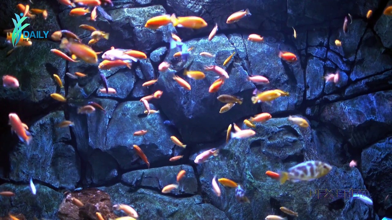 गर्भावस्‍था में विटामिन ई क्‍यों जरूरी है  Vitamin E Benefits   Daily Health Care