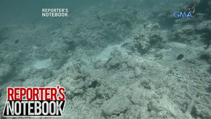 Reporter's Notebook: Mga coral reef sa Scarborough Shoal, nasira na