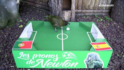 Le prono de Newton : entre l'Espagne et le Portugal, Newton n'a pas trop douté