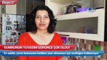 Kumrunun yuvasını görünce şok oldu!