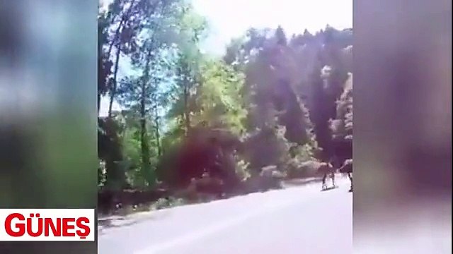 Aracıyla atların arasına daldı
