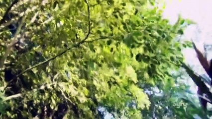 Ghost Hunters International S03E10 Sacrificed Mayan Spirits