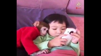 Modern Monkeys Tabdili ai ray - Mega Videos