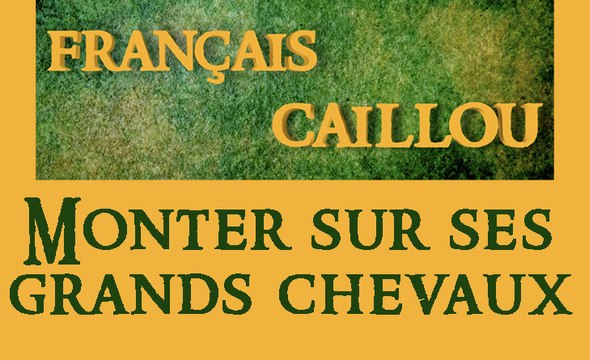 Français caillou / Définition du jour : Monter sur ses grands chevaux