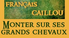 Français caillou / Définition du jour : "Monter sur ses grands chevaux"