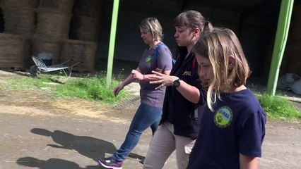 Investir ou mourir, les zoos dans une course à l'innovation