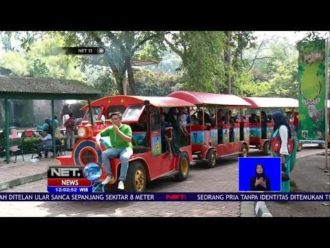 Live Report, Lebaran Kedua, Warga Serbu Kebun Binatang Ragunan -NET12