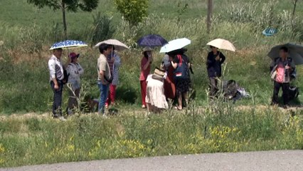 Download Video: Güney Koreli kafileyi taşıyan otobüs ile traktör çarpıştı: 1 Koreli toplam 3 yaralı