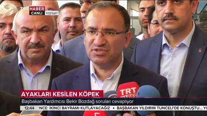 Başbakan Yardımcısı Bozdağ: Bu vahşiliği kim işlediyse gereği yapılacaktır