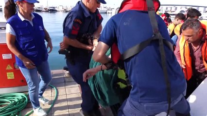 Çanakkale'de 41 yabancı uyruklu yakalandı