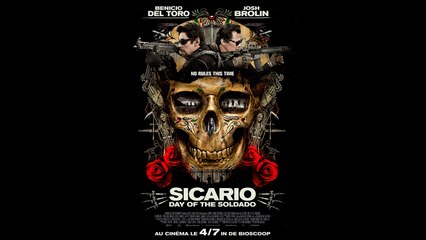 SICARIO (2018)  WEB-DL XviD AC3 English lenguage VOST FRENCH-NL
