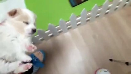 "옥천출장샵"ュ옥천콜걸"카톡:WHT79((초이스WHT66,NET))"{{일본인콜걸샵}}일본인출장안마((추천))ュ여대생출장만남ュ미시콜걸만남ュ옥천출장업소ュ옥천출장샵((강추))