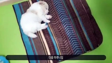 강남콜걸〈카톡:LBN77／[강남출장샵]／XO42,NET〉일본인출장안마(추천)リ여대생출장만남リ미시콜걸만남リ강남출장업소リ강남출장샵강추リ