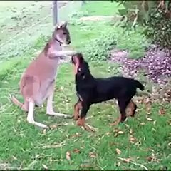 Amazing Video of The World #12 - U will Not Believe This! - YouTube