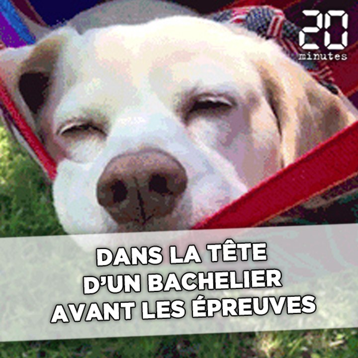 Dans la tête d'un bachelier avant les épreuves