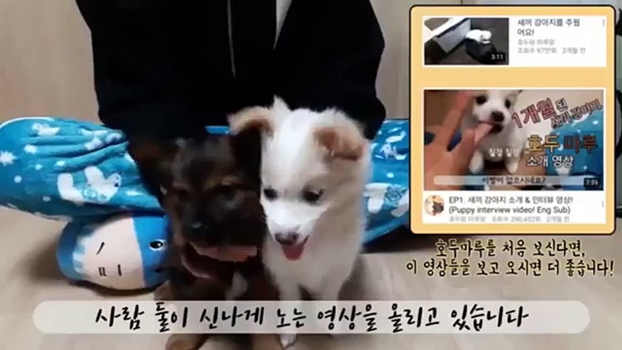 videoplayback (23)