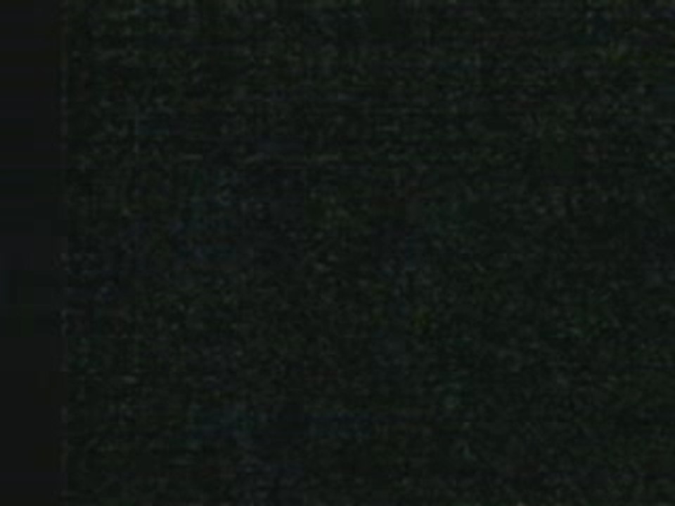 Hertz pet (1)