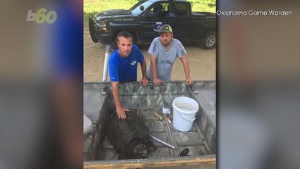 Fishermen In Oklahoma Catch Massive Alligator Snapping Turtle