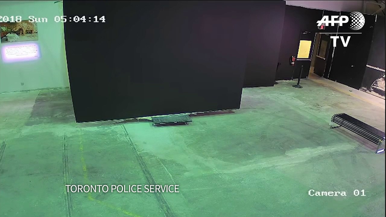 Câmeras de segurança mostram roubo de obra de Banksy