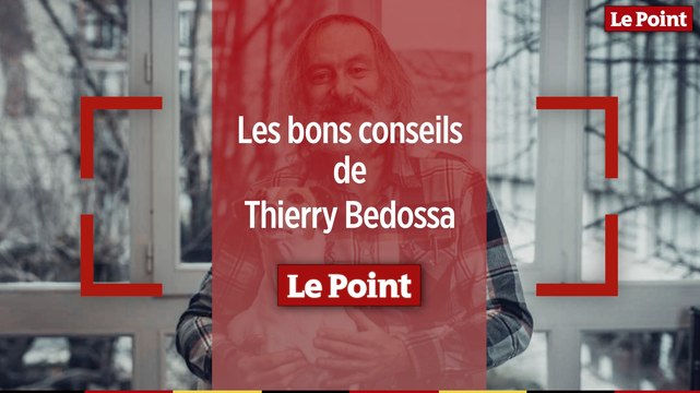 Les bons conseils de Thierry Bedossa : comment traiter la dépression chez le chien