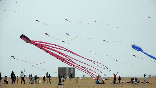 CAPBRETON - cerfs-volants sur la plage Notre-Dame