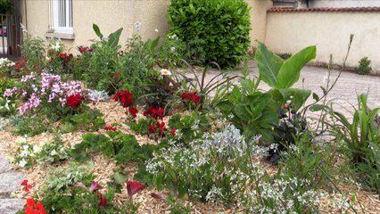 Rivas Une petite commune au bord de la Loire.