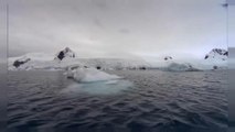 Antarktika'da buzullar son on yılda üç misli hızla eridi