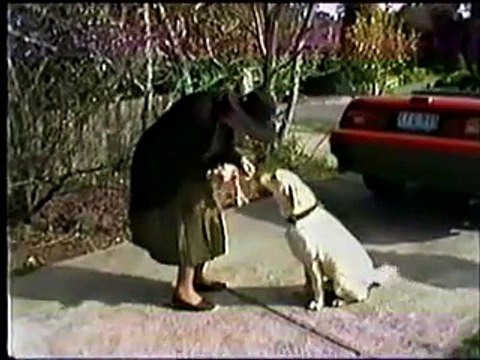 NEIGHBOURS EPISODE 1314