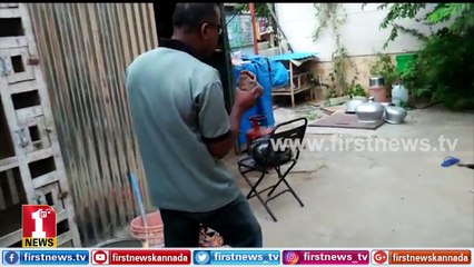Snakes snakes every where in silicon city ನಿಮ್ಮ ಮನೆಗೂ ಬುಸ್​ ಬುಸ್​ ನಾಗಪ್ಪಾ ಬರಬಹುದು ಹುಷಾರು..!