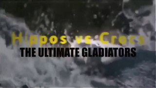 Hippopotamus vs Crocodile: The Ultimate Predator - Nat Geo Wild