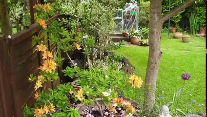 Britains Horror Homes S01e06