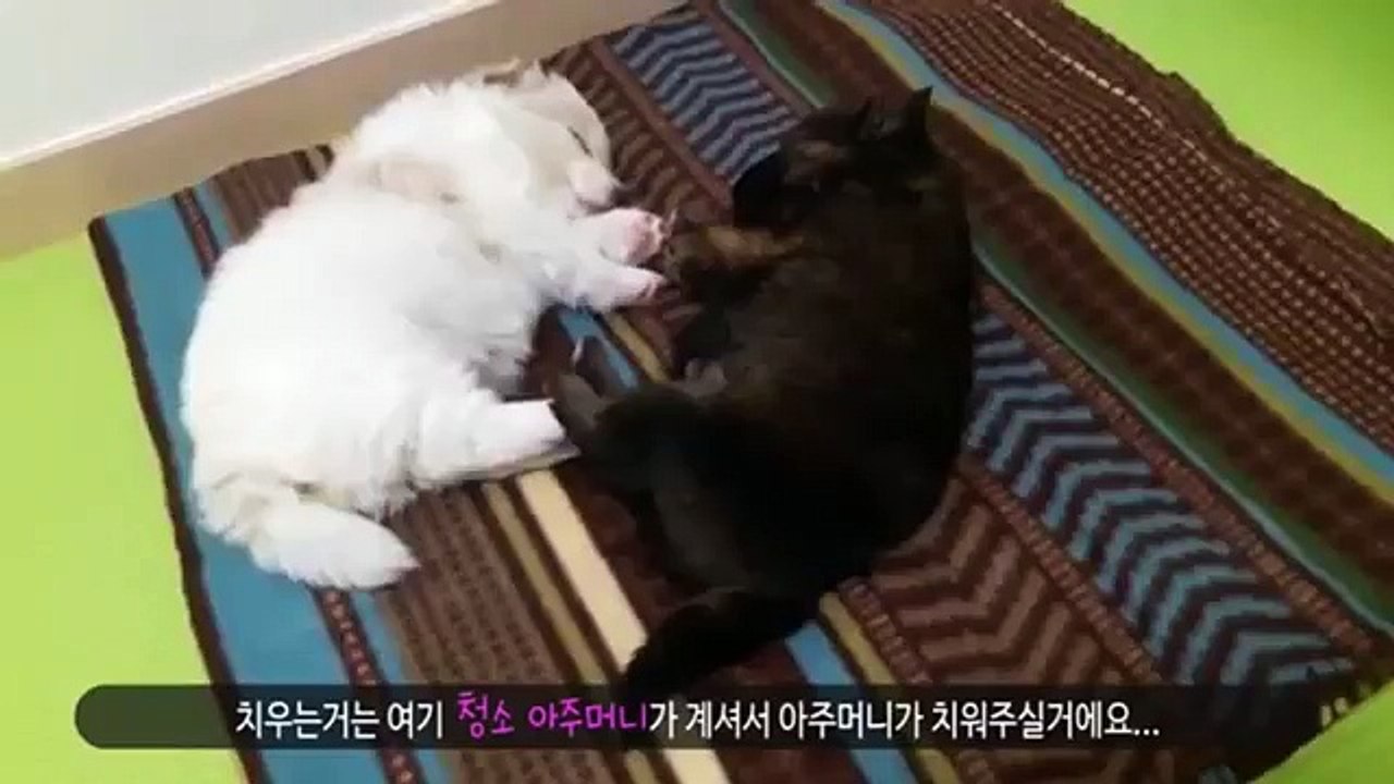ヱ종로출장안마 종로출장샵《카톡：WHT67//초이스WHT67.NET》ヱ종로콜걸ヱ종로출장업소ヱ종로애인대행 ヱ종로출장만남 ヱ종로여대생출장샵추천 콜걸만남 콜걸안마 콜걸마사지