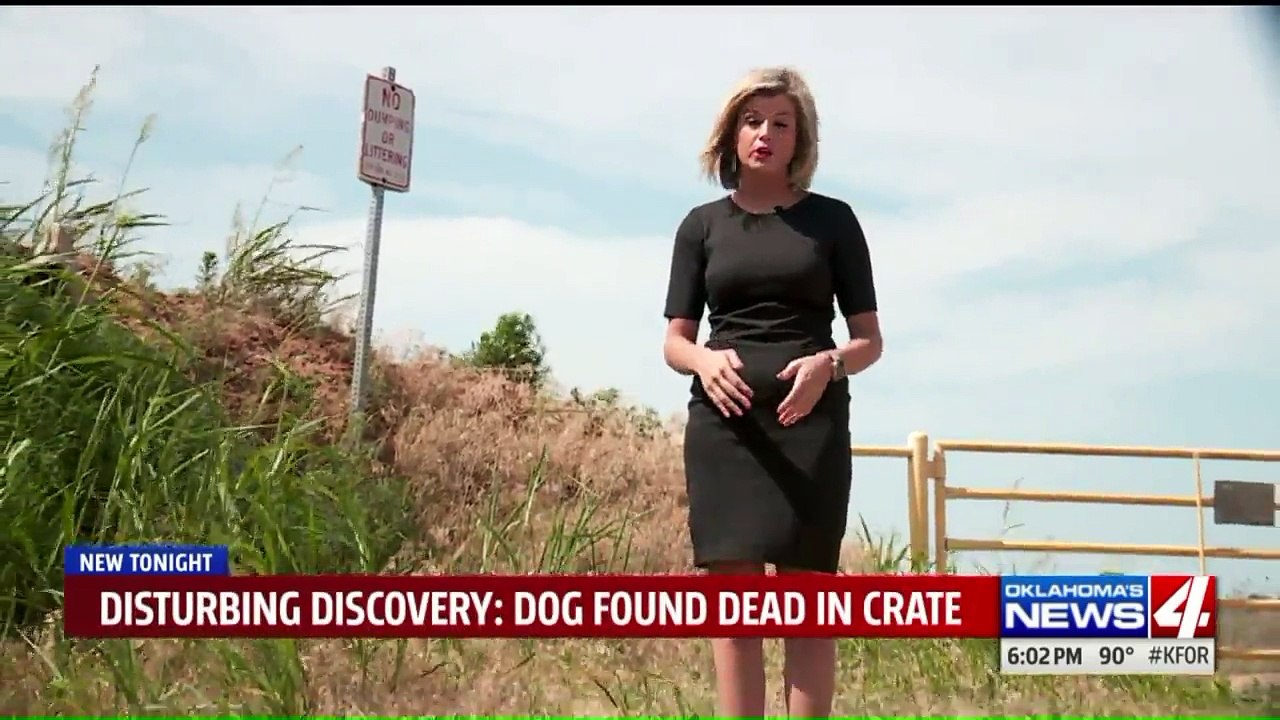 Dead Dog Found Inside Crate on Side of the Road in Oklahoma