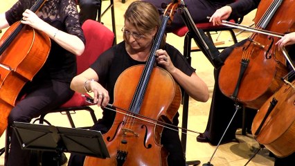 Song of the Birds - Caslas performed by Alice McVeigh