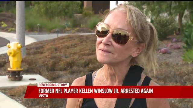 Former NFL Player Arrested Again, Charged with Series of Sex Crimes