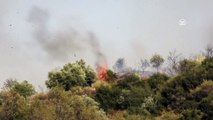 Turgutlu'da orman yangını - MANİSA