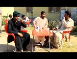 Balochi comedy film Halwa