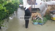 Report Tv - Reshjet e shiut shkaktojnë përmbytje dhe një sërë dëmesh në Cërrik