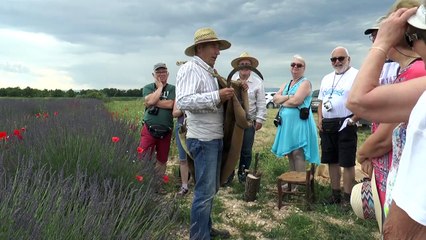 D!CI TV : l'association "Mémoire vivante" à Valensole reviens sur l'histoire de la lavande pour la présenter à des visiteurs venu de la France entière