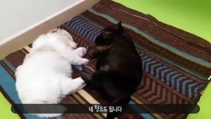 ロ예산출장안마 예산출장샵《카톡：WHT67//초이스WHT67.NET》ロ예산콜걸ロ예산출장업소ロ예산애인대행 ロ예산출장만남 ロ예산여대생출장샵추천 콜걸만남 콜걸안마 콜걸마사지