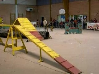 Isabelle deconinck wittes nitch