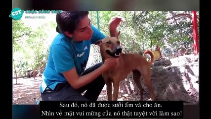 không cầm được nước mắt khi xem clip giải cứu động vật