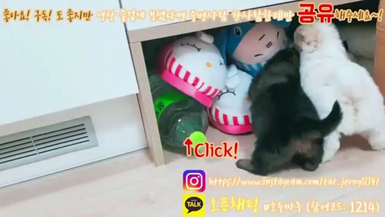 영월출장안마 카톡HIS55 영월출장샵 주소(HIS35,NET) 일본인출장업소ユ영월콜걸ユ영월출장만남ユ영월출장샵추천ユ영월콜걸가격ユ영월애인대행
