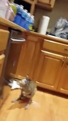 selahattin demirtaş trt konuşması 2018