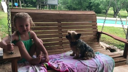 Funniest Pets & Animals of the Week Compilation June 2018