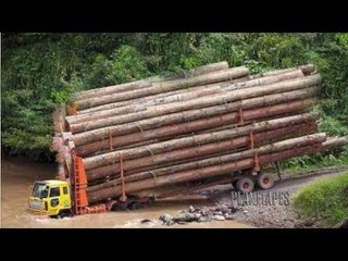 Extreme Difficult Road, Challenging Driving  Over Size Logging Truck