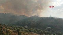 Manisa'da Korkutan Orman Yangını