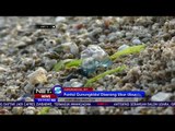 News Flash, Pantai Gunung Kidul Diserang Ubur-ubur -NET5