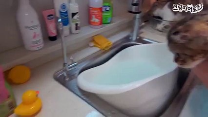 「//카톡WHT67//」ミ합천콜걸「//WHT67,NET//」합천출장샵ミ합천출장마사지 ミ합천출장만남 ミ합천출장업소 ミ합천일본인애인대행 ミ합천출장안마 ミ합천여대생출장샵추천 콜걸만남 콜걸안마 콜걸마사지